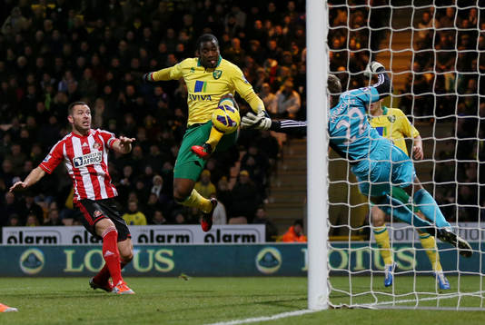 Football - Norwich City v Sunderland - Barclays Premier