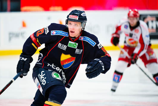 Gabriel Landeskog, Djurgården
