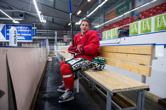 Ishockey, Alexander Molldén, Kristianstad
