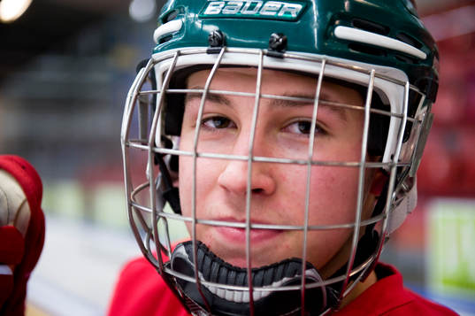 Ishockey, Alexander Molldén, Kristianstad