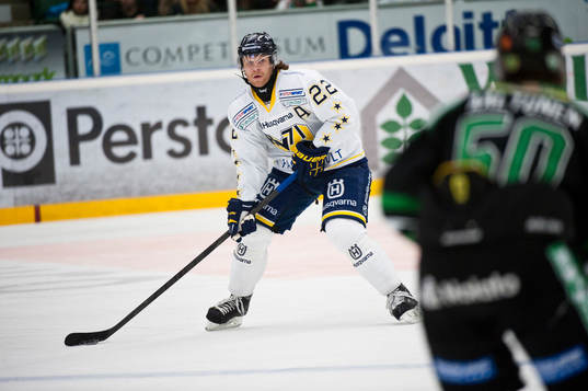 David Petrasek, HV71
