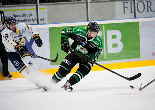 Ted Brithén, Rögle