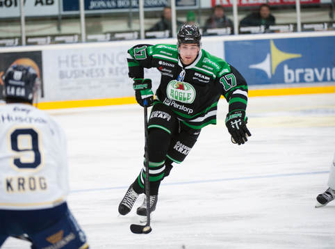 Victor Panelin Borg, Rögle