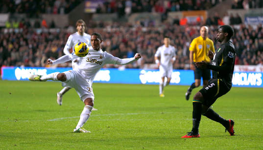 Football - Swansea City v Norwich City - Barclays Premier