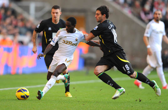 Football - Swansea City v Norwich City - Barclays Premier