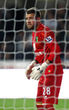 Football - Swansea City v Norwich City - Barclays Premier