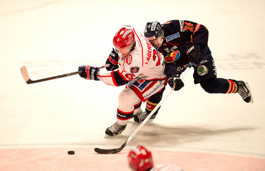 Patric Hörnvist, Djurgården