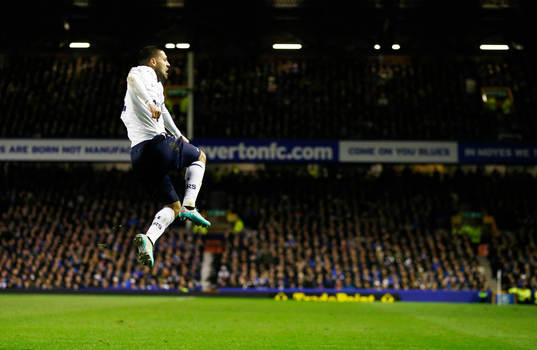 Football - Everton v Tottenham Hotspur - Barclays Premier