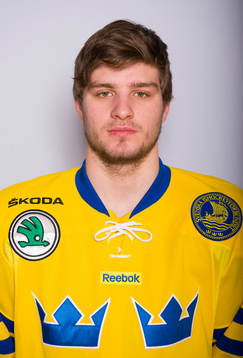 Mikael Vikstrand