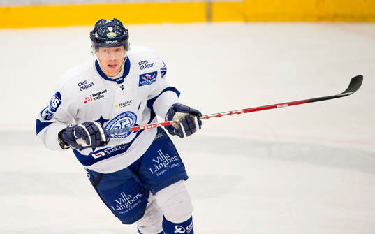 Michael raffl, Leksand