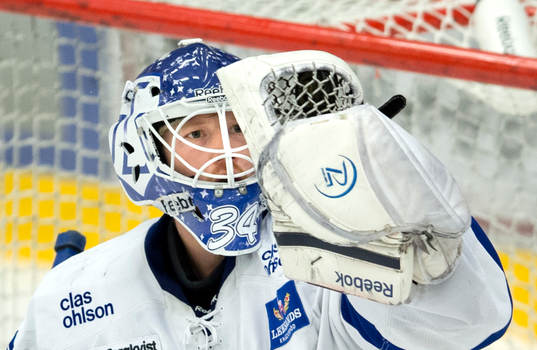 Bläddra bland fler bilder av Ishockey, Allsvenskan, Almtuna - Leksand
