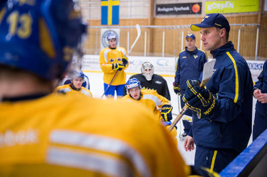Roger Rönnberg, huvudtränare