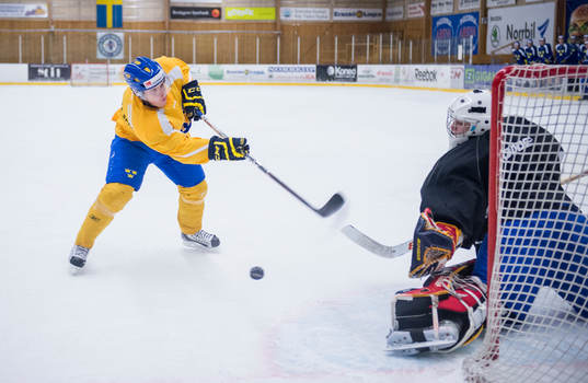 Viktor Arvidsson