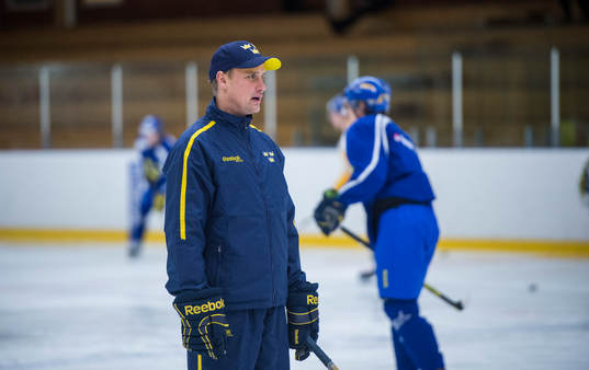 Roger Rönnberg, huvudtränare