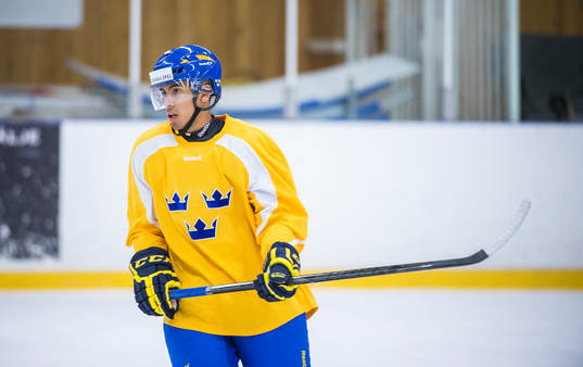 Viktor Arvidsson
