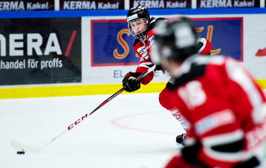 Rasmus Andersson, Malmö Redhawks