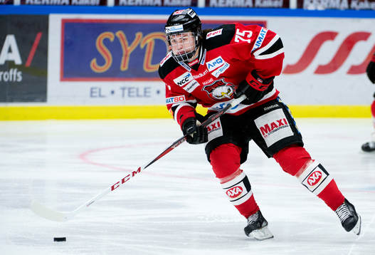 Rasmus Andersson, Malmö Redhawks