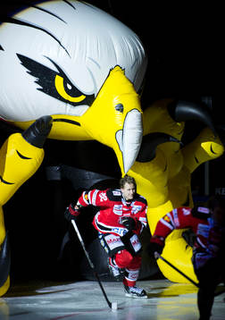 Alexander Bergström, Malmö Redhawks