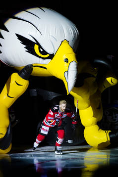 Jens Olsson, Malmö Redhawks