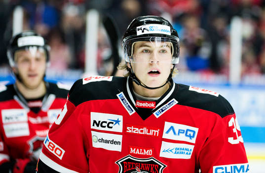 Roger Olsson, Malmö Redhawks