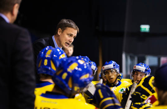Roger Rönnberg, huvudtränare, Sverige
