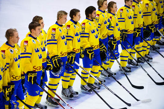 De svenska spelarna står uppställda