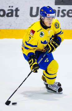 Jesper Pettersson, Sverige