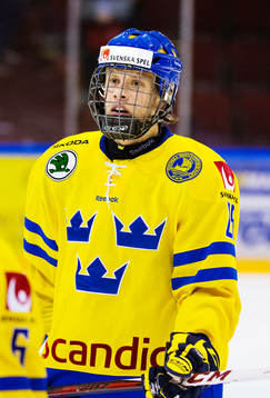 Jacob de la Rose, Sverige