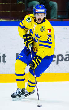 Linus Fröberg, Sverige