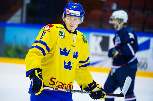 Linus Arnesson, Sverige