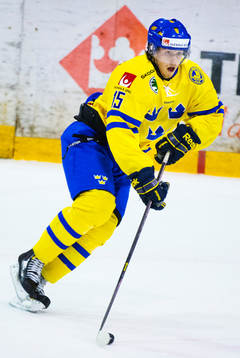Sebastian Collberg, Sverige