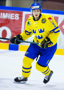 Sebastian Collberg, Sverige