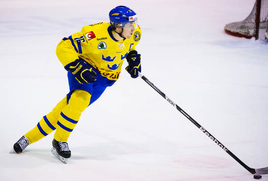 Filip Forsberg, Sverige