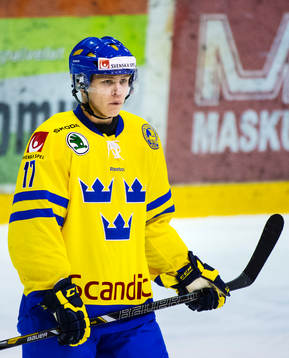 William Karlsson, Sverige