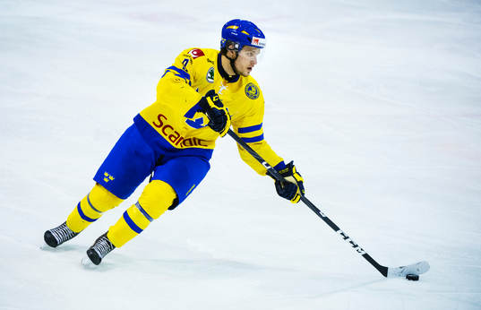 Mikael Vikstrand, Sverige