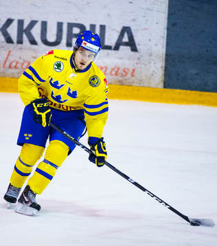Mikael Vikstrand, Sverige