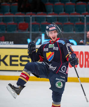 Erik Gustafsson, Djurgården jublar