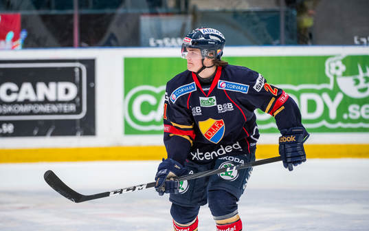 Marcus Bohman, Djurgården