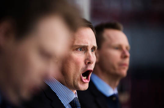 Roger Rönnberg, huvudtränare Sverige