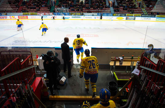 Sveriges spelare gör entré