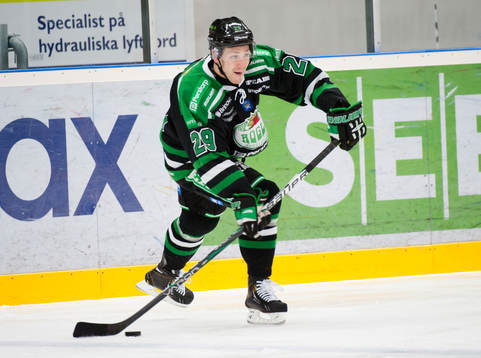 Alexander Barta, Rögle