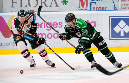 Fredrik Warg, Rögle, Mikael Johansson, Frölunda
