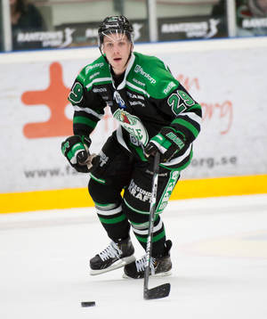 Alexander Barta, Rögle