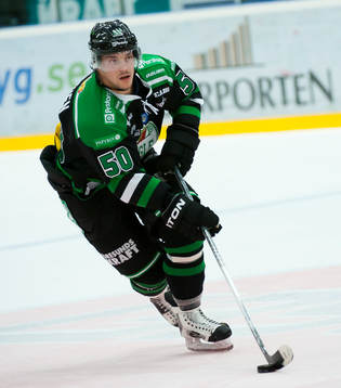 Juhamatti Asltonen, Rögle