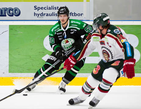 Juhamatti Asltonen, Rögle
