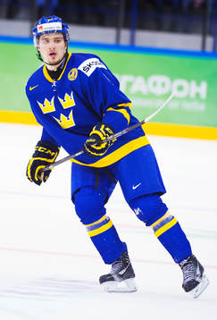 Mikael Vikstrand, Sverige
