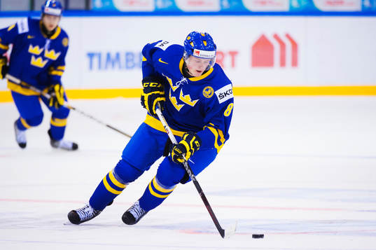 Linus Arnesson, Sverige