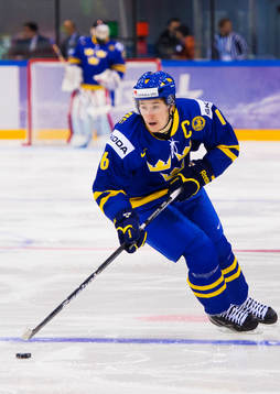 Filip Forsberg, Sverige