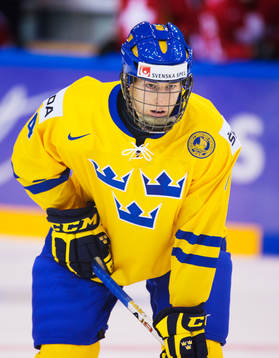 Robert Hägg, Sverige