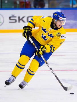Christian Djoos, Sverige
